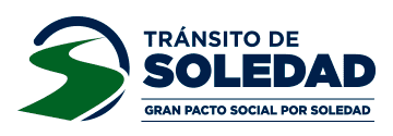 transito-soledad